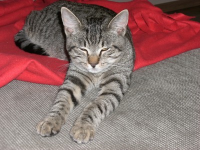 nochmal Lenny, die Ruhe in Person