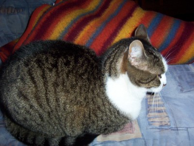 Bild 043.jpg
