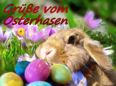 Grüße vom Osterhasen.jpg