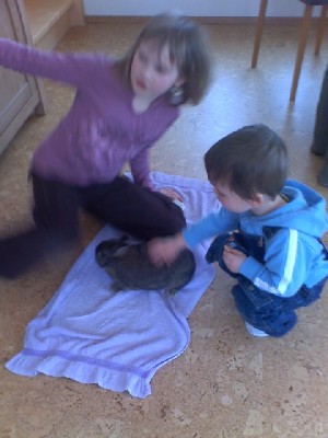 Tobi mit Häschen!!!