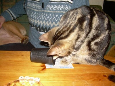 ich will auch  kniffeln !!!!!