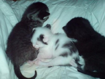 DSC00005.JPG