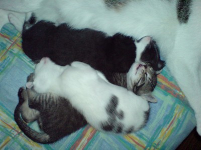 DSC00011.JPG