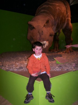 Schloss Dankern 2008 und Baum Fällen am WoWa 250.JPG