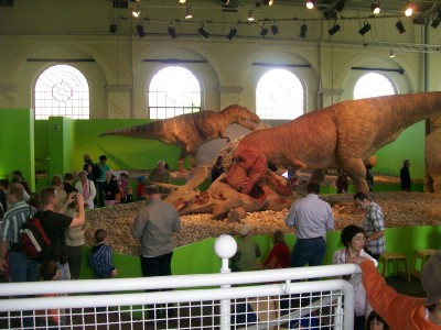 Schloss Dankern 2008 und Baum Fällen am WoWa 246.JPG