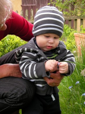 konzentriert bei der arbeit