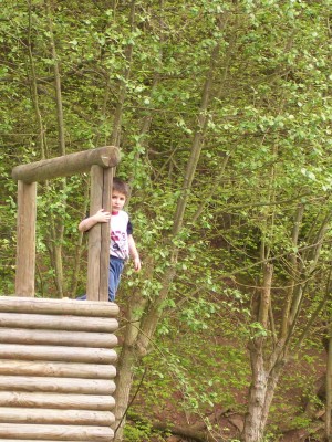 Mai 2008 WoWa 042.JPG