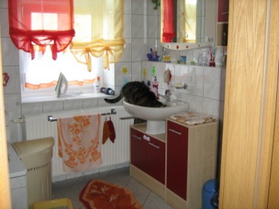 kater felix ssucht sich eine ruhigen Platz vor Tobi zum Trinken!!!