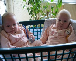 Hier noch ein aktuelles Bildchen von den Knöspchen (wollten mir bei meiner Lieblingsbeschäftigung helfen)