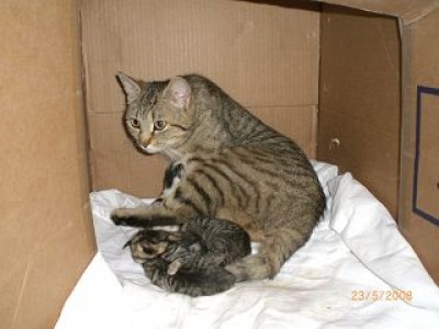 k-Bilder ab Mai 2008 060.jpg