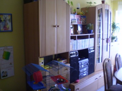 neben PC kommt dann die Schrankwand und wir befinden uns im Eßzimmer