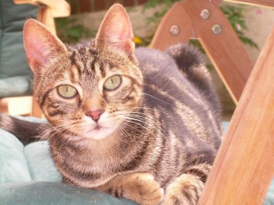 minni.....mittagspause