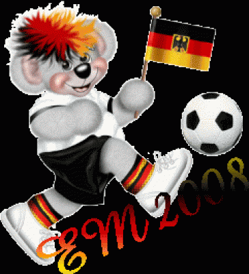 em2008-00052.gif