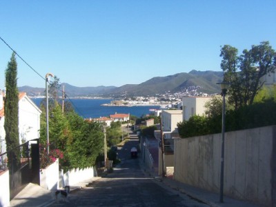 Blick vom Hauseingang aus.jpg