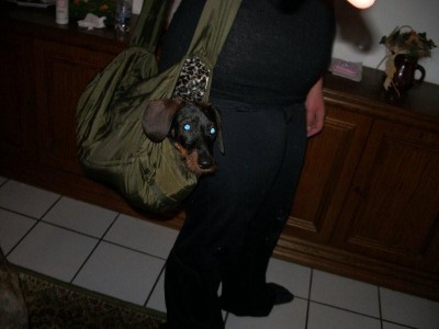 und das is Schwiegis Anton in seiner neuen Jagdtasche lol...