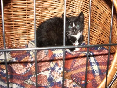 da is also Möhrchens kleines... ich würd sie am liebsten behalten- sooooooooooo süß