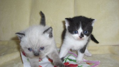 Liesel und Shaun-2-14.07.08.jpg