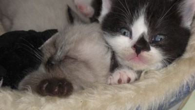 Liesel und Shaun.jpg