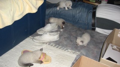 5. Liesel und die Schuhe.jpg