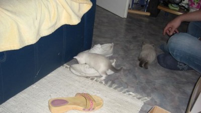 7. Liesel und die Schuhe.jpg