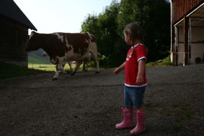 Lena und Kälber.jpg