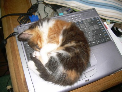 nääää ...hier kommst dunicht dran