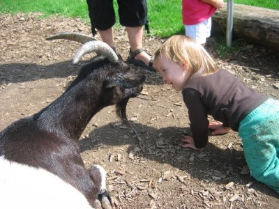 schau mir in die Augen kleines - Mia