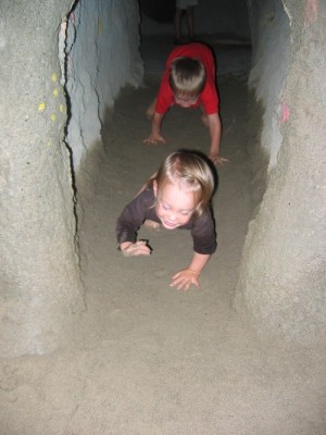 Krabbelkäfer - Max&amp;amp;Mia