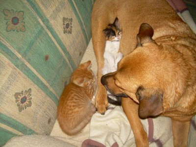 .kuschelstunde.jpg