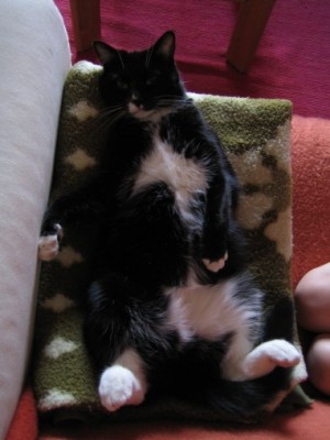 Missy kann Luftgitarre spielen...