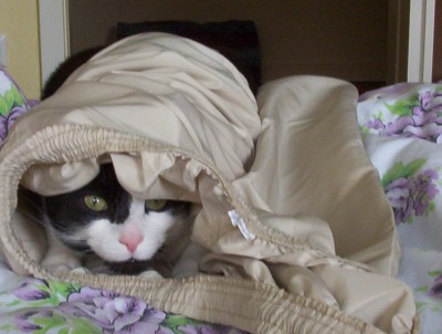 rocky & friends (223).jpg