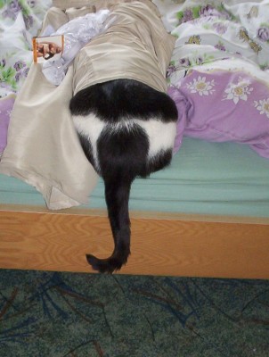 rocky & friends (222).jpg