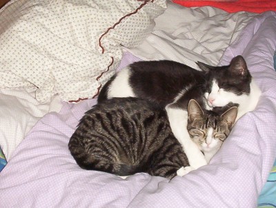 rocky & friends (44).jpg