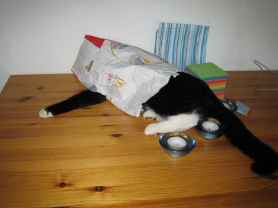 War hier nicht eben noch ein Cheeseburger?