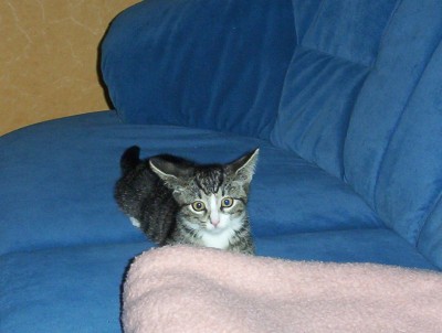 rocky & friends (18).jpg