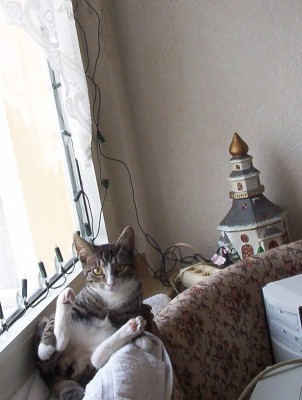 rocky & friends (187).jpg