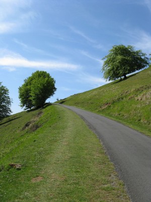 Steil steil ging es hinauf und dass knappe6Stunden,war wuinderbar.