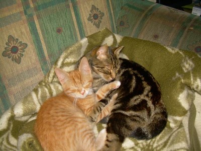 kuscln mit minnie.jpg