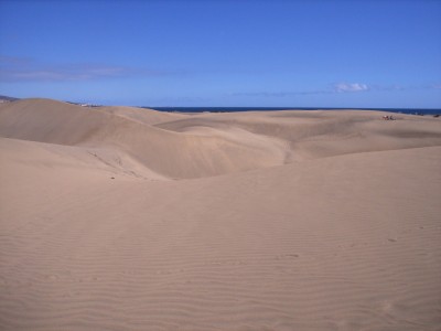 die Dünen von Maspalomas