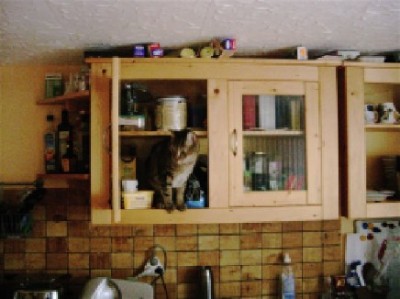 kater-schrank.jpg