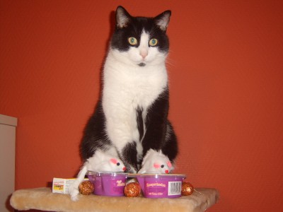 Weihnachten 08002.JPG