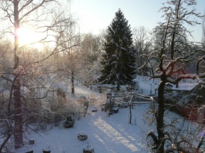 Bild aus der Wohnung auf dem Garten