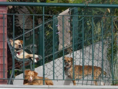 die drei sind goldig, oder?