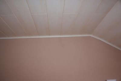 Wandfarbe + Deckenpaneele.JPG