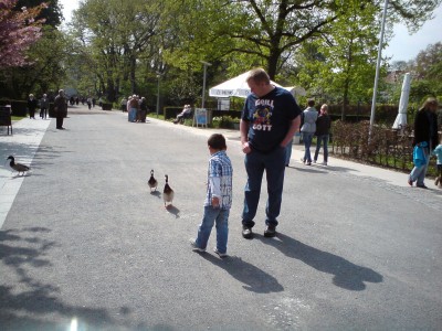 Händy April 086.JPG