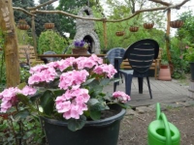 garten mit grillofen.jpg