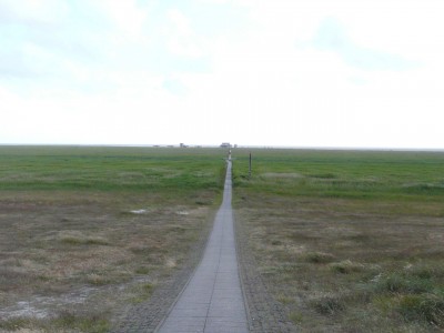 Weg zur Nordsee.jpg