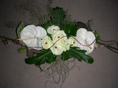 DSCN6367.JPG