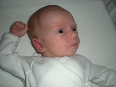 Daniel 022.jpg