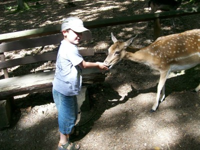 Sommer Urlaub 09 077.JPG